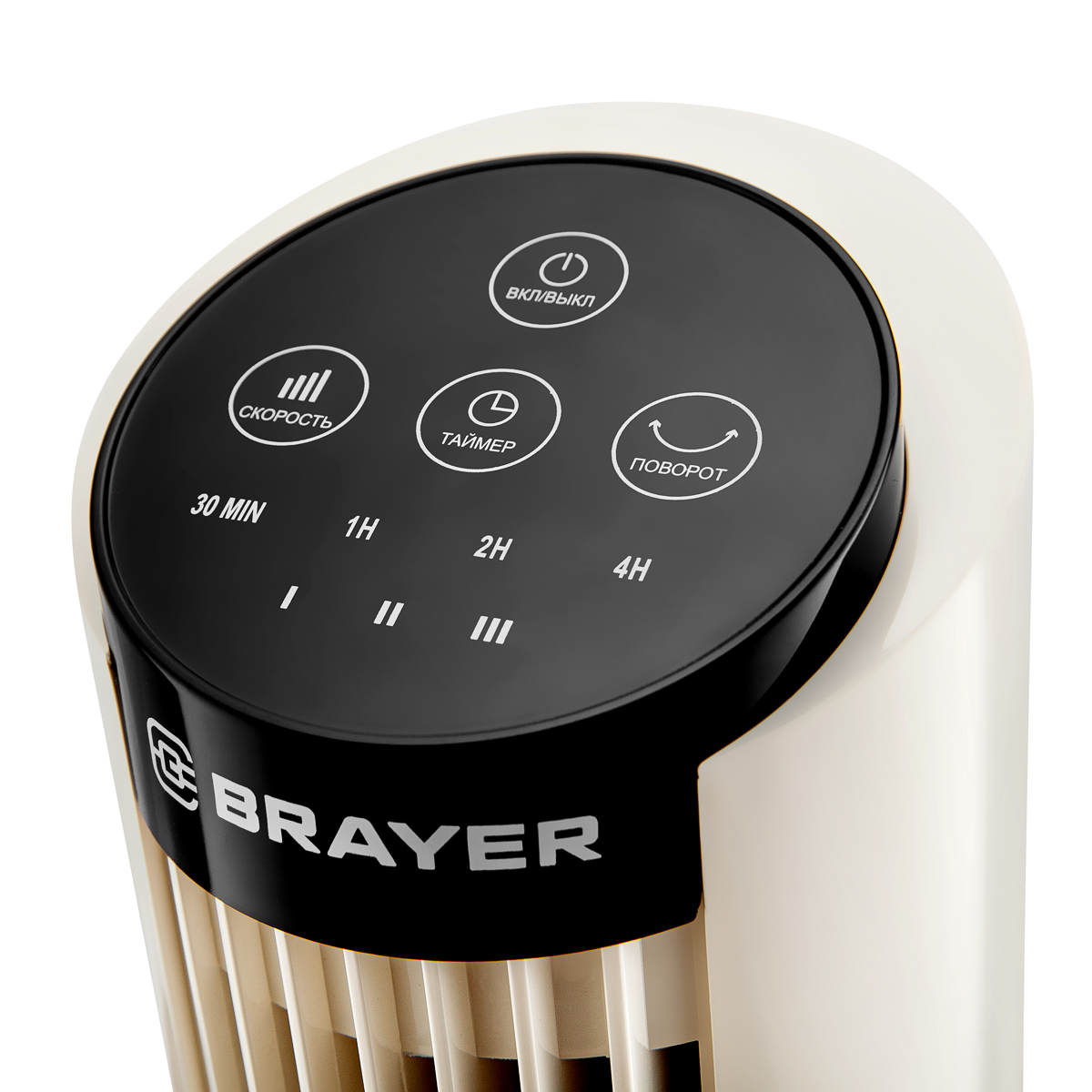 Настольный вентилятор BRAYER BR4979